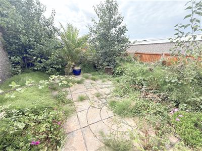 Picture 14